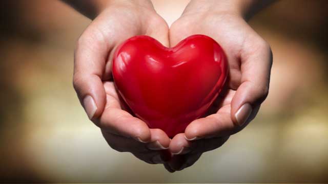 Hands holding a heart